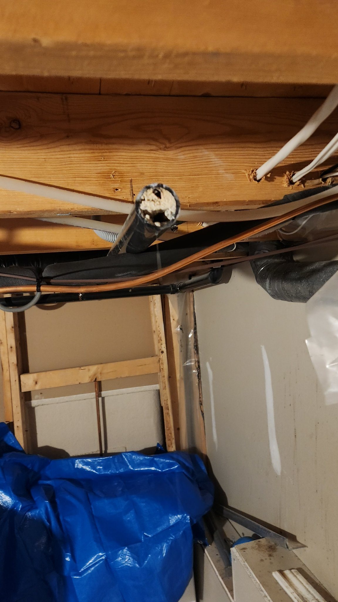 Plumber in Portsmouth Village, Kingston 1 Clogged clay sewer pipe cross-section cleared by Leak Free Plumbing — serving Portsmouth Village, Kingston